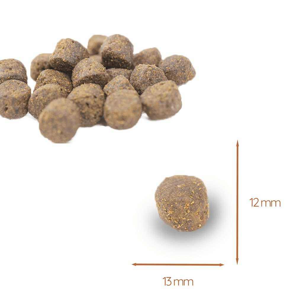 Junior Trockenfutter mit Lachs für Welpen - getreidefrei-Hundefutter-Wildfang-