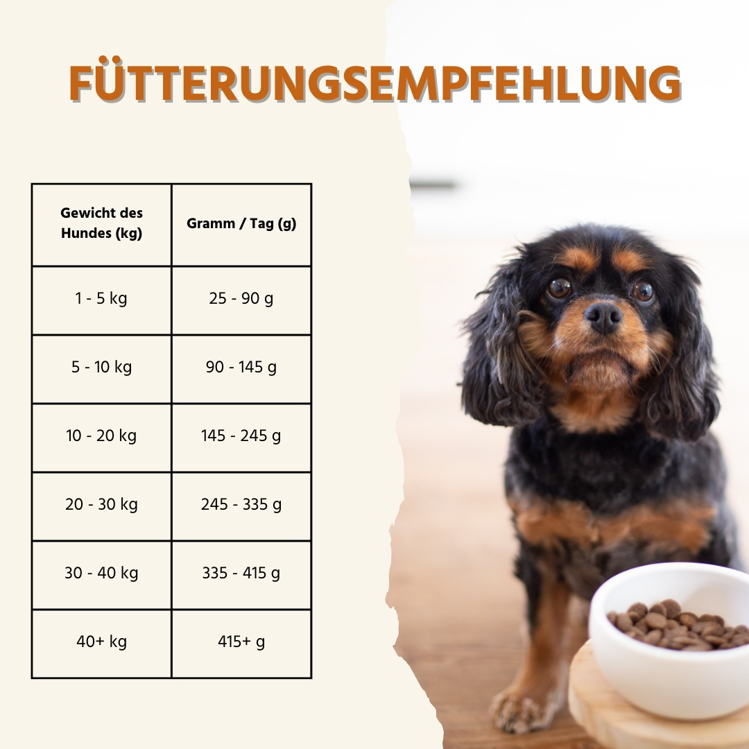 Trockenfutter mit Lamm - getreidefrei-Hundefutter-Wildfang-