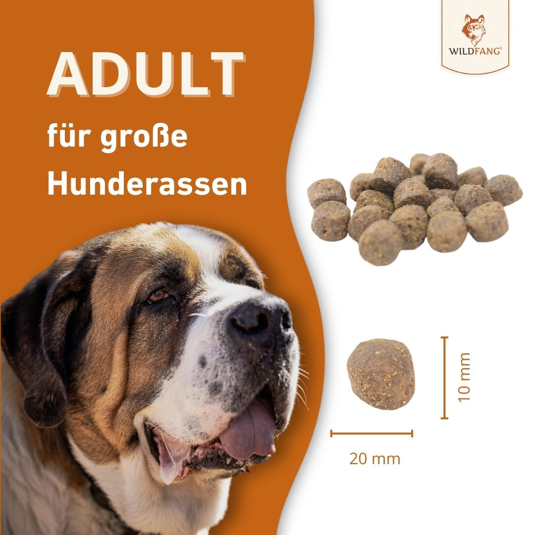 Maxi Adult Trockenfutter Sparpack 2 x 2 kg mit Lachs und Forelle - getreidefrei-Hundefutter-Wildfang-