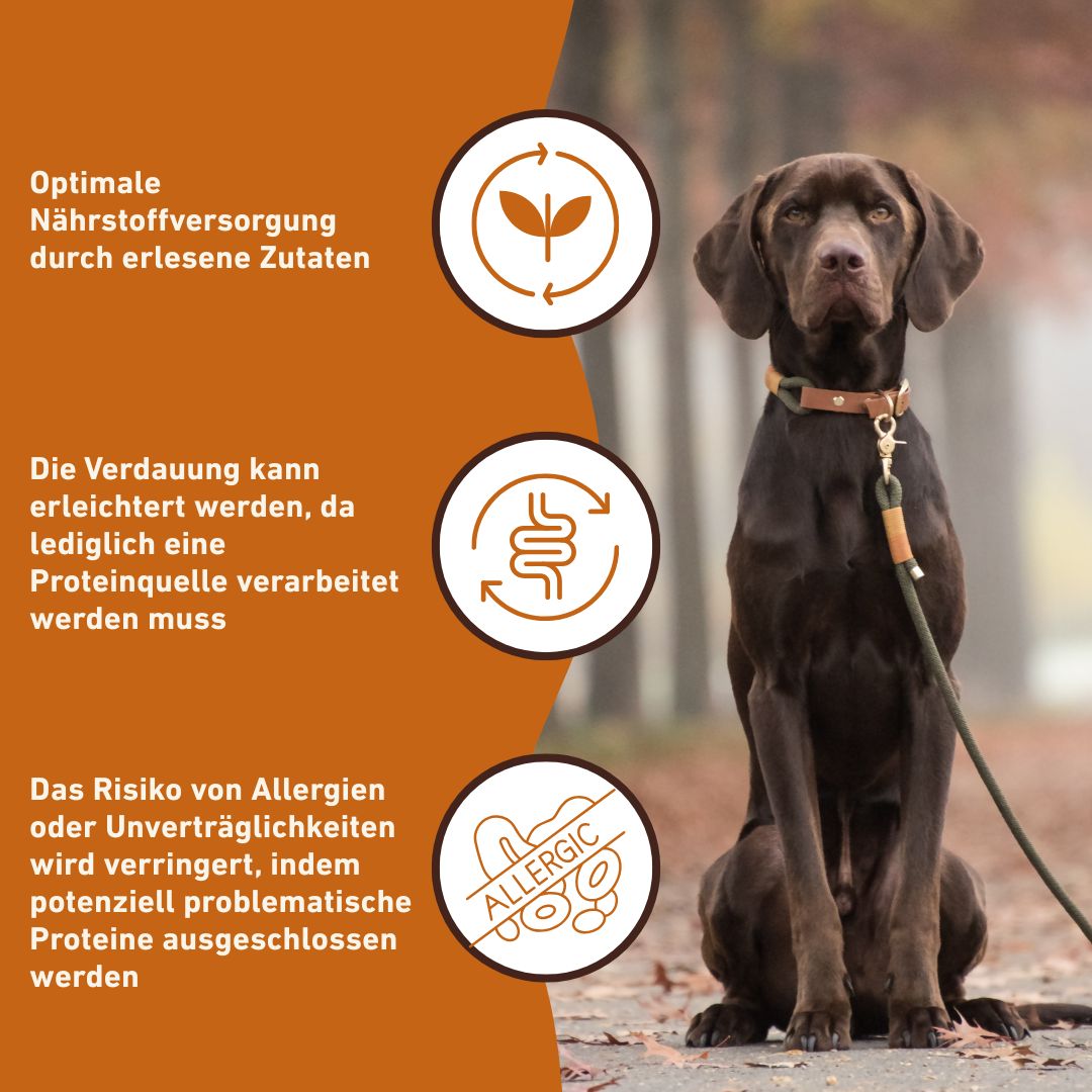 Nassfutter Huhn pur - BARF Qualität-Hundefutter-Wildfang-