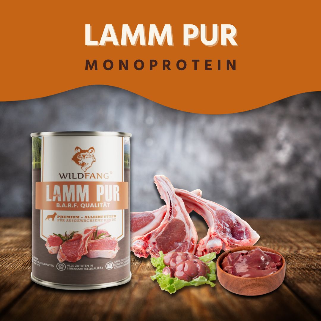 Nassfutter Lamm pur - BARF Qualität - 6er Set-Hundefutter-Wildfang-