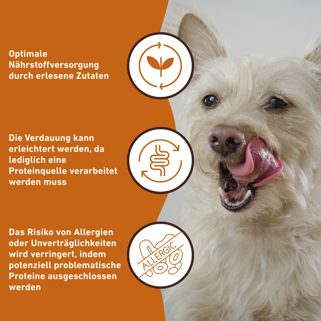 Nassfutter Lamm pur - BARF Qualität - 6er Set-Hundefutter-Wildfang-