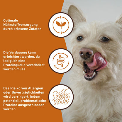 Nassfutter Lamm pur - BARF Qualität - 6er Set-Hundefutter-Wildfang-