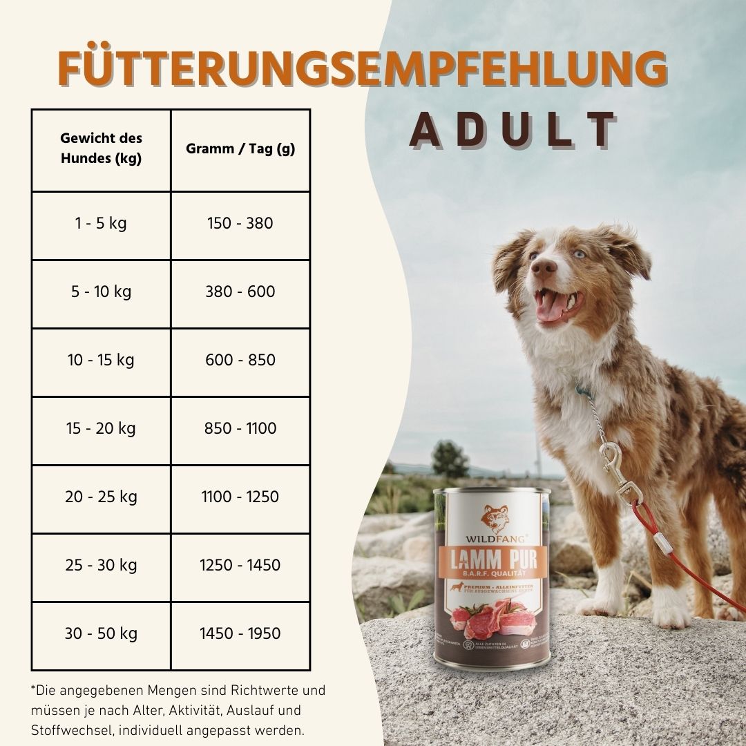 Nassfutter Mix 6 x 400g - BARF Qualität-Hundefutter-Wildfang-
