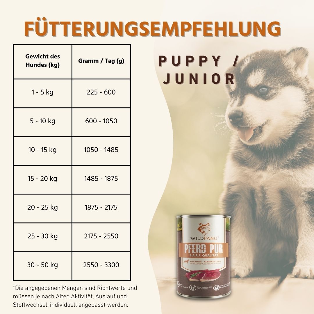 Nassfutter Mix 6 x 400g - BARF Qualität-Hundefutter-Wildfang-