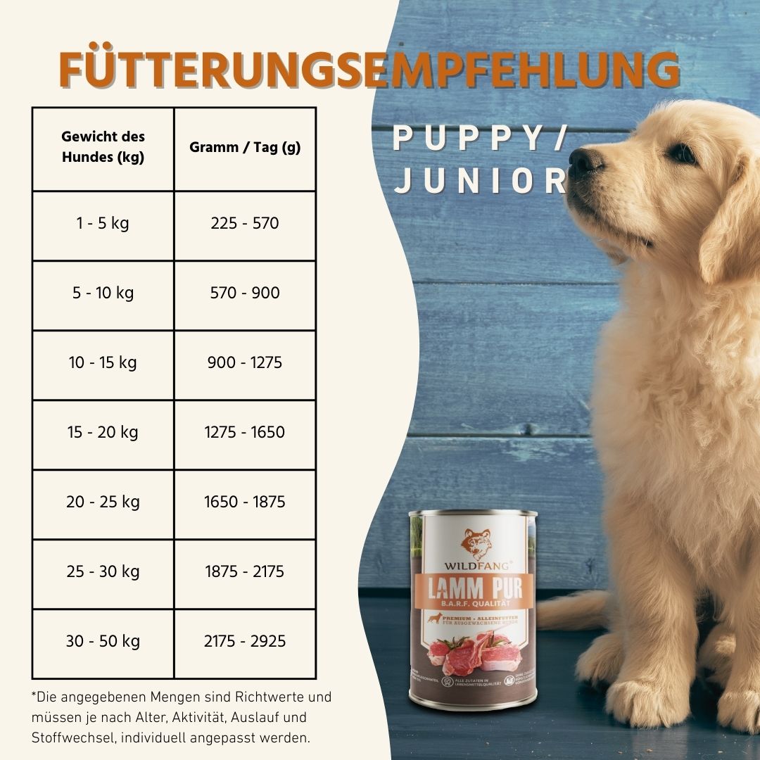 Nassfutter Mix 6 x 400g - BARF Qualität-Hundefutter-Wildfang-
