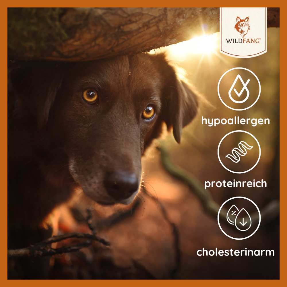 Nassfutter Pferd pur - BARF Qualität-Hundefutter-Wildfang-