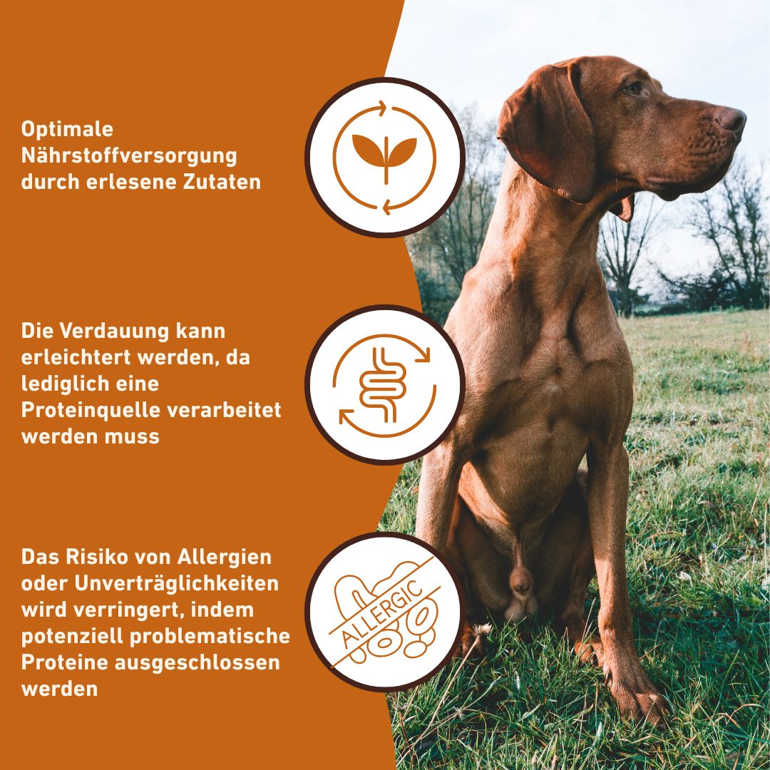 Nassfutter Rind pur - BARF Qualität - 6er Set-Hundefutter-Wildfang-