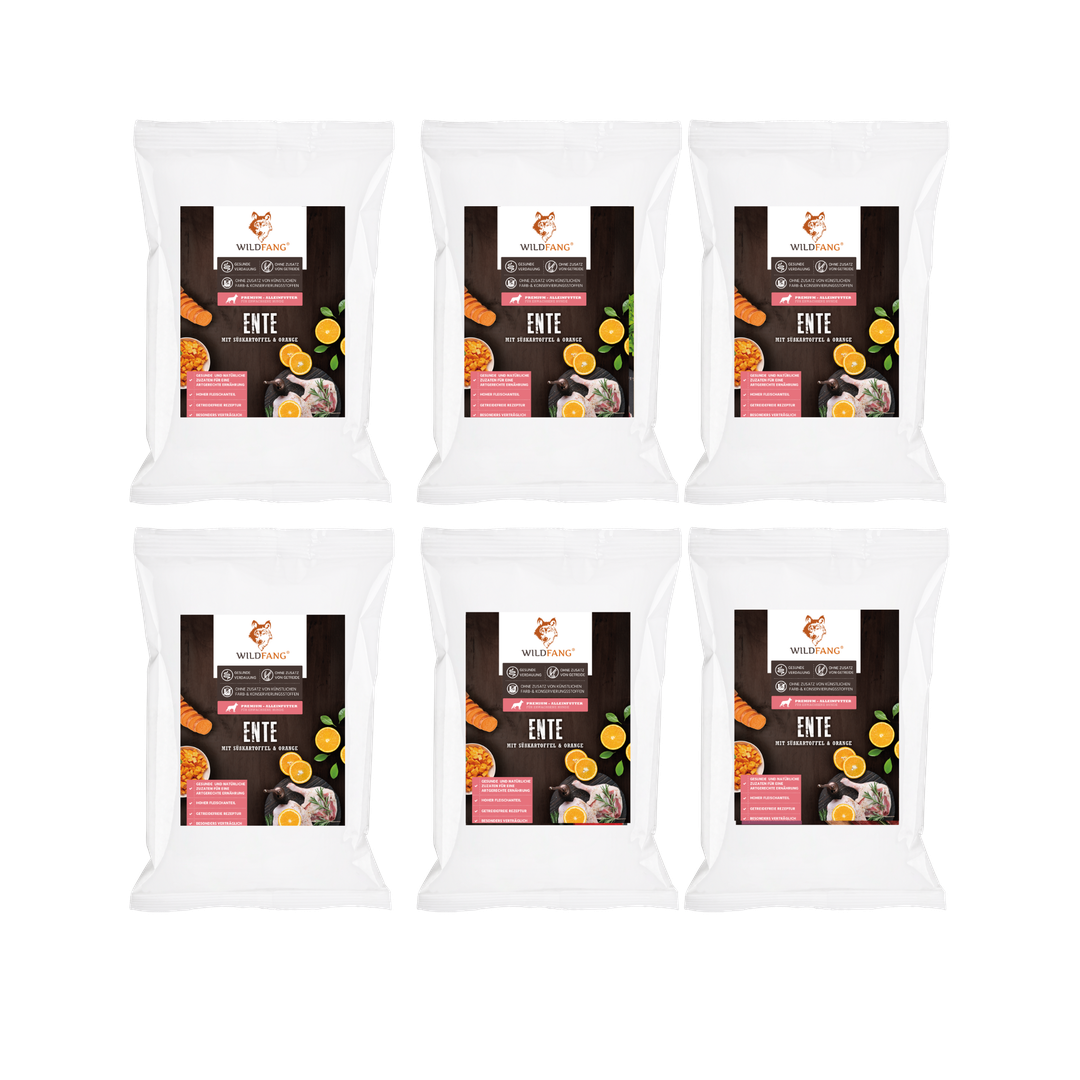 Adult Probierpaket Trockenfutter - getreidefrei-Hundefutter-Wildfang-6 x Ente-