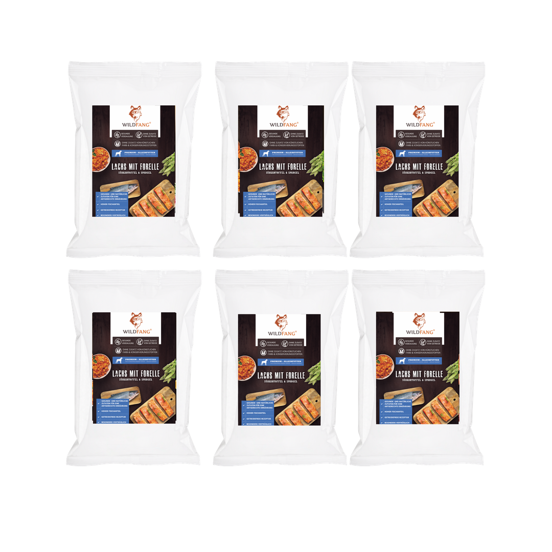 Adult Probierpaket Trockenfutter - getreidefrei-Hundefutter-Wildfang-6 x Lachs mit Forelle-