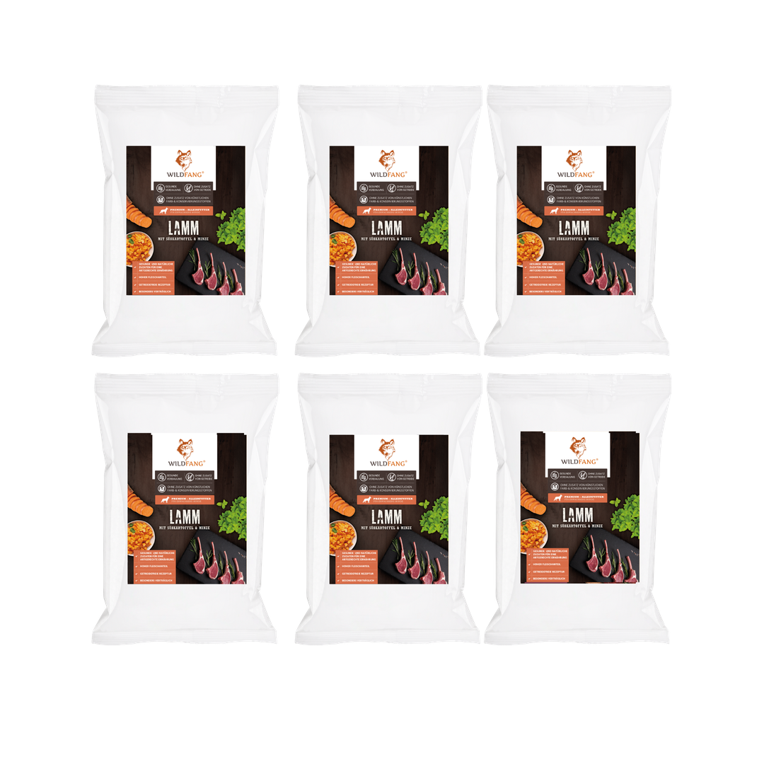 Adult Probierpaket Trockenfutter - getreidefrei-Hundefutter-Wildfang-6 x Lamm-