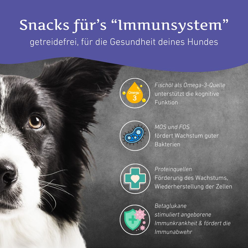 Snacks für das Immunsystem - getreidefrei - 3er Set-Hundefutter-Wildfang-