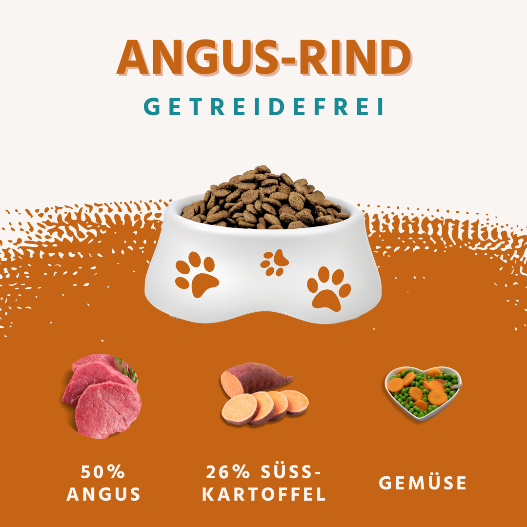 Adult Trockenfutter Sparpack 2 x 2 kg mit Angus Rind - getreidefrei-Hundefutter-Wildfang-