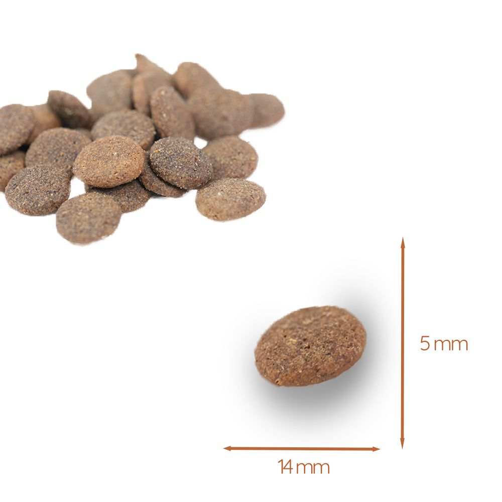 Adult Trockenfutter Sparpack 2 x 2 kg mit Ente - getreidefrei-Hundefutter-Wildfang-