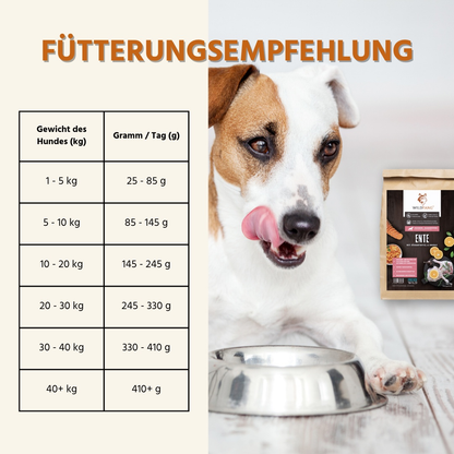 Adult Trockenfutter Sparpack 2 x 2 kg mit Ente - getreidefrei-Hundefutter-Wildfang-