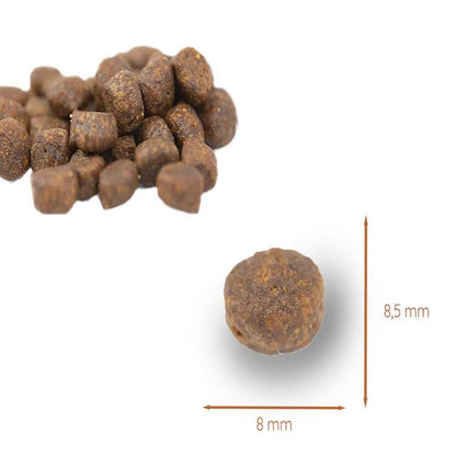 Junior Trockenfutter Sparpack 2 x 2 kg mit Huhn - getreidefrei - für Welpen-Hundefutter-Wildfang-
