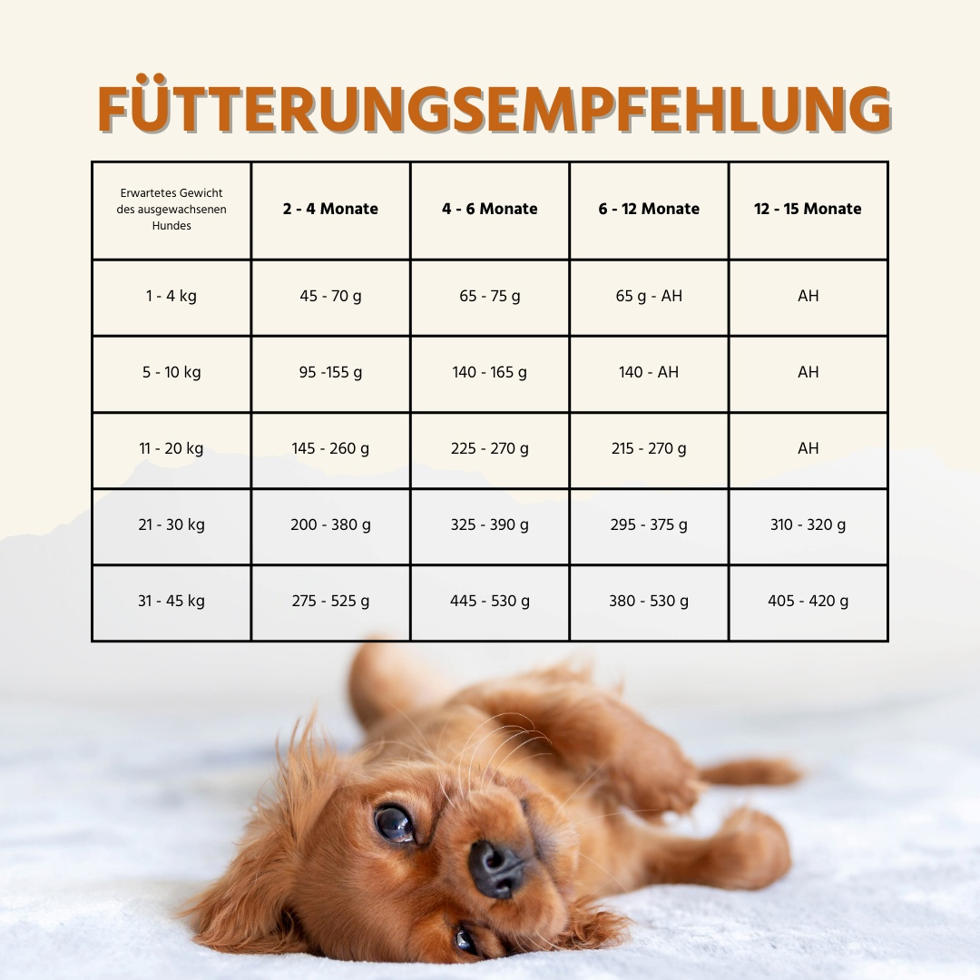Junior Trockenfutter Sparpack 2 x 2 kg mit Huhn - getreidefrei - für Welpen-Hundefutter-Wildfang-