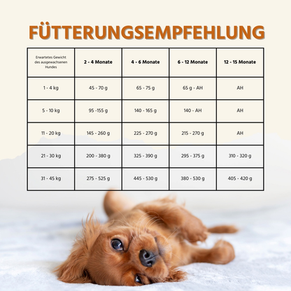 Junior Trockenfutter Sparpack 2 x 2 kg mit Huhn - getreidefrei - für Welpen-Hundefutter-Wildfang-