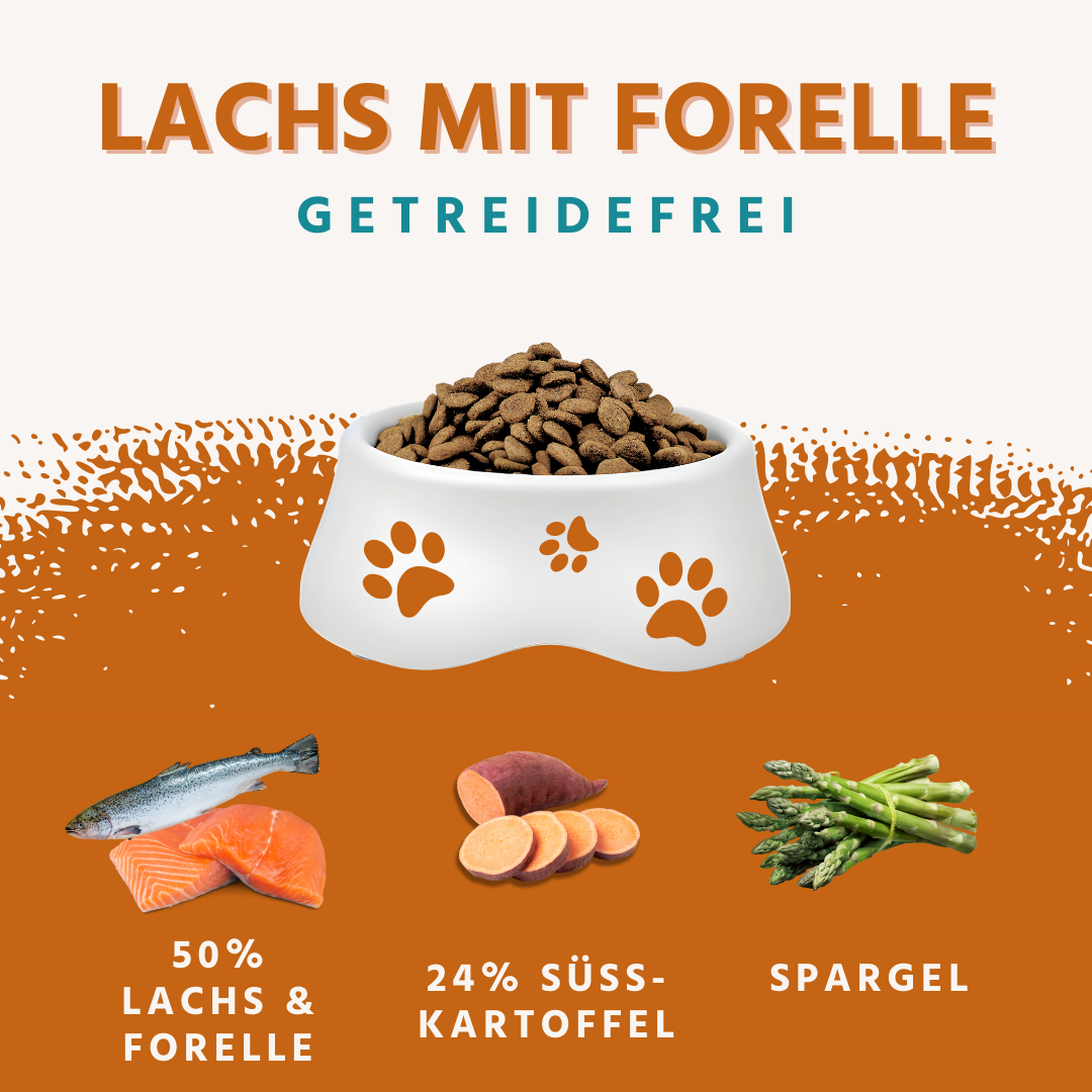 Trockenfutter Sparpack 2 x 2 kg mit Lachs und Forelle - getreidefrei - ideal für große Hunderassen-Hundefutter-Wildfang-