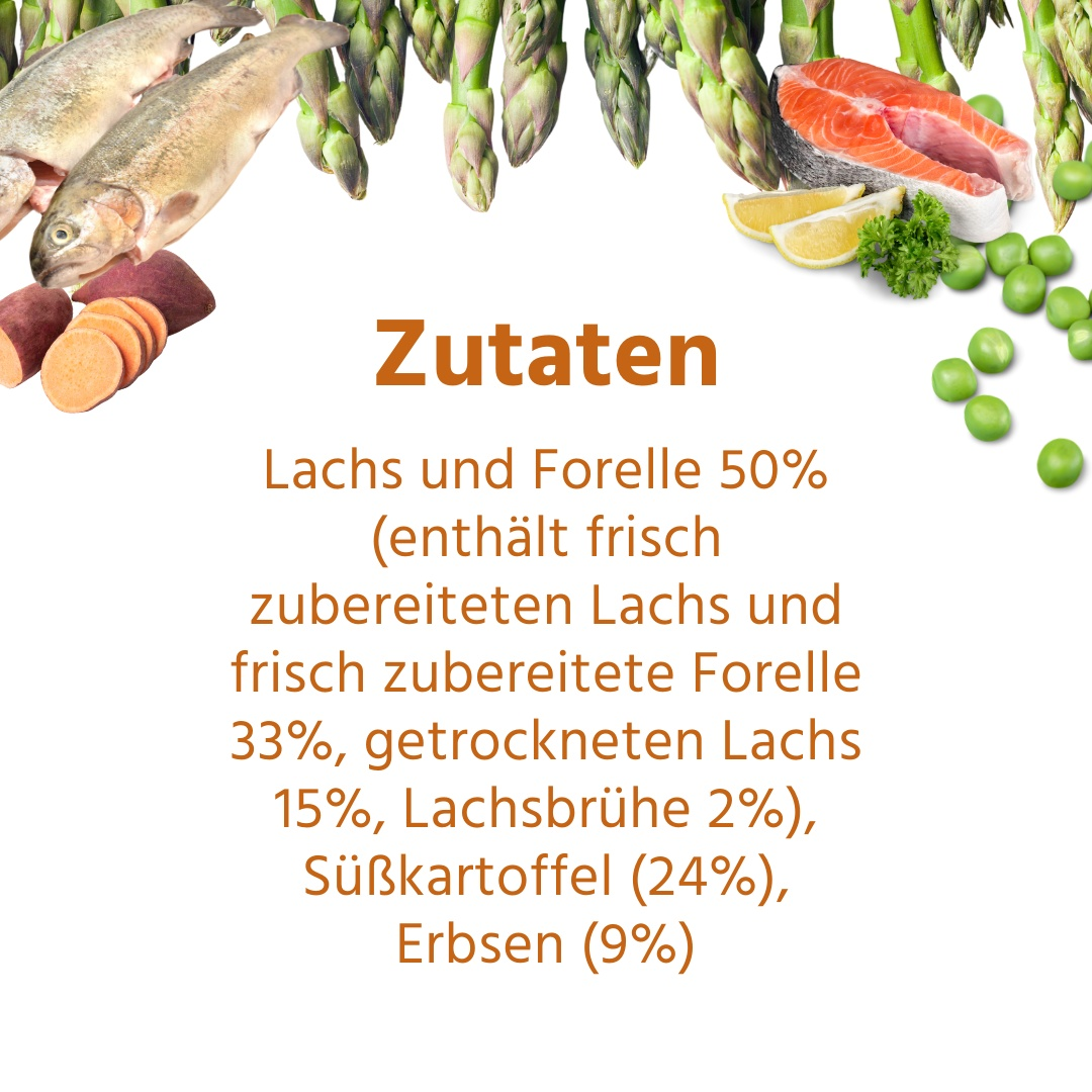 Trockenfutter Sparpack 2 x 2 kg mit Lachs und Forelle - getreidefrei - ideal für große Hunderassen-Hundefutter-Wildfang-