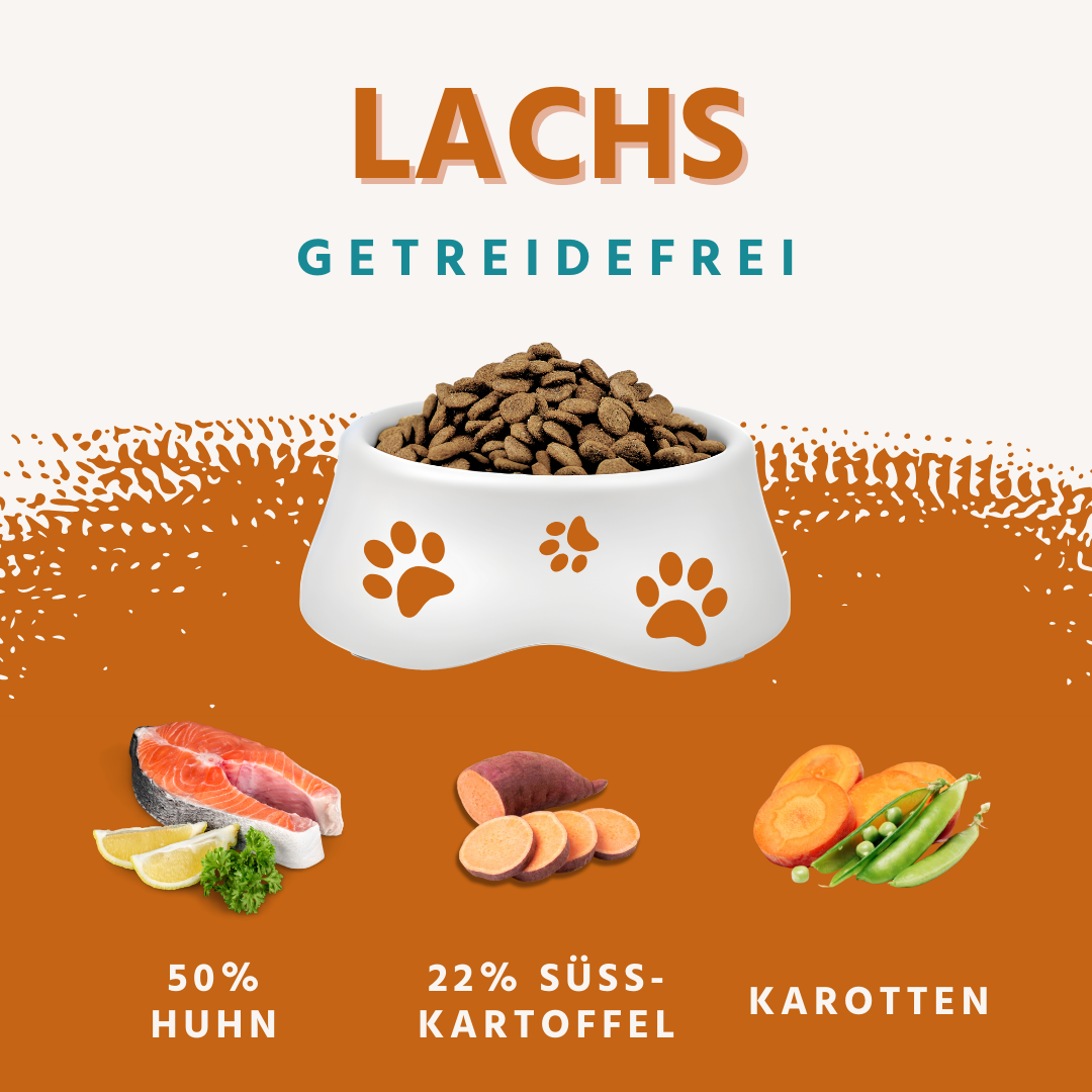 Junior Trockenfutter Sparpack 2 x 2 kg mit Lachs - getreidefrei - für Welpen-Hundefutter-Wildfang-