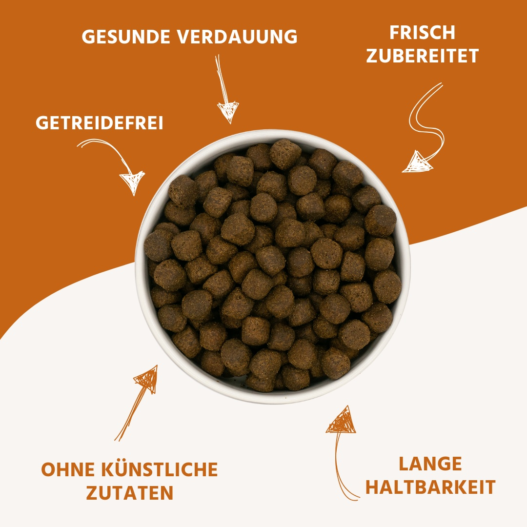 Junior Trockenfutter Sparpack 2 x 2 kg mit Lachs - getreidefrei - für Welpen-Hundefutter-Wildfang-
