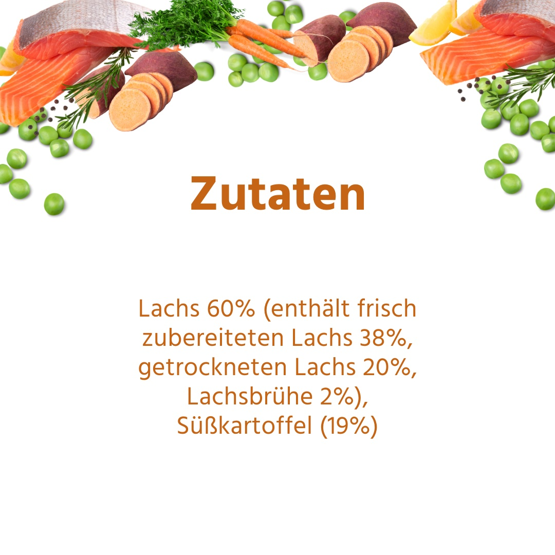 Junior Trockenfutter Sparpack 2 x 2 kg mit Lachs - getreidefrei - für Welpen-Hundefutter-Wildfang-