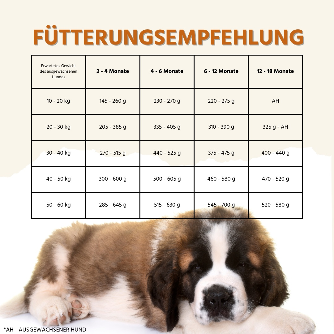 Junior Trockenfutter Sparpack 2 x 2 kg mit Lachs - getreidefrei - für Welpen-Hundefutter-Wildfang-