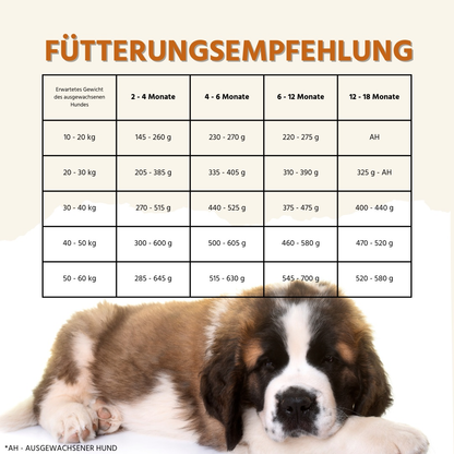 Junior Trockenfutter Sparpack 2 x 2 kg mit Lachs - getreidefrei - für Welpen-Hundefutter-Wildfang-