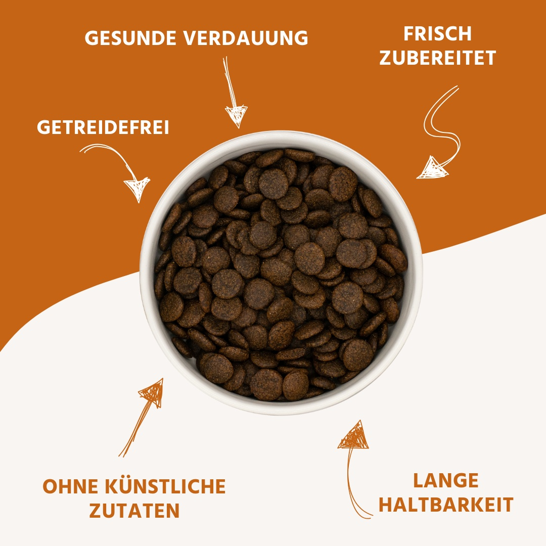 Adult Trockenfutter Sparpack 2 x 2 kg mit Thunfisch - getreidefrei-Hundefutter-Wildfang-