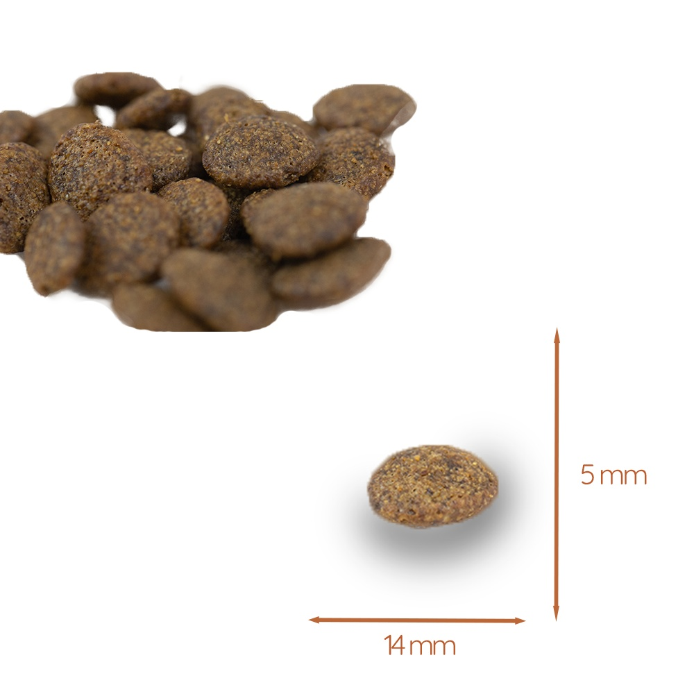 Adult Trockenfutter Sparpack 2 x 2 kg mit Thunfisch - getreidefrei-Hundefutter-Wildfang-