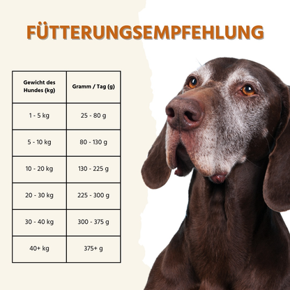 Sensitive Trockenfutter Sparpack 2 x 2 kg mit Truthahn - getreidefrei-Hundefutter-Wildfang-