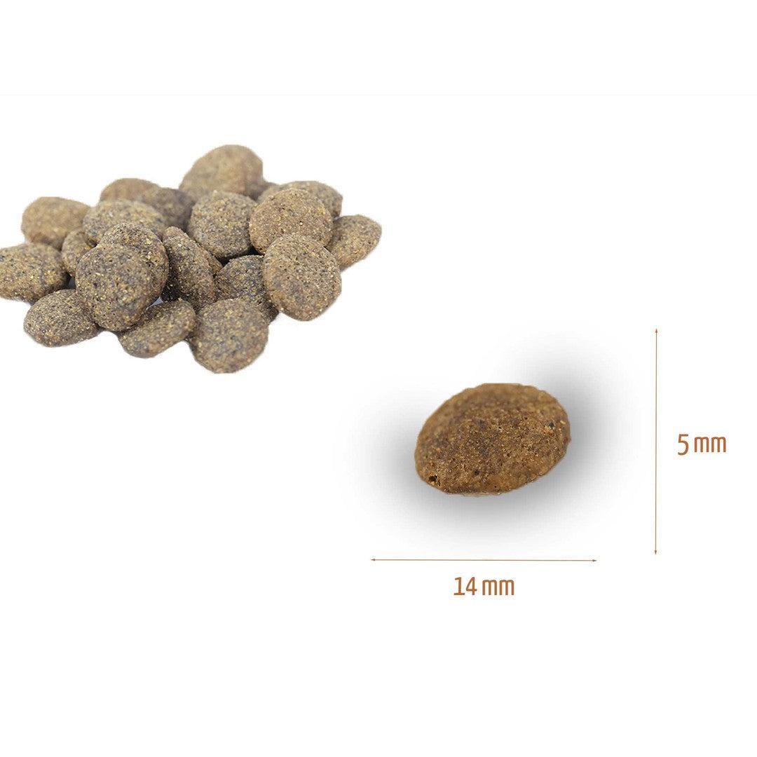 Sensitive Trockenfutter Sparpack 2 x 2 kg mit Truthahn - getreidefrei-Hundefutter-Wildfang-