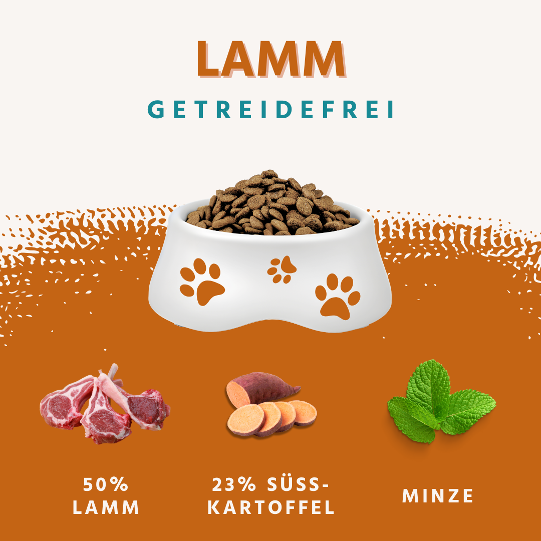 Adult Trockenfutter Sparpack 2 x 2 kg mit Lamm - getreidefrei-Hundefutter-Wildfang-