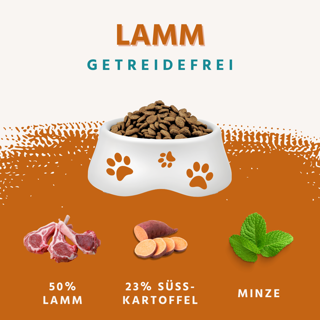 Trockenfutter Sparpack 2 x 2 kg mit Lamm - getreidefrei-Hundefutter-Wildfang-