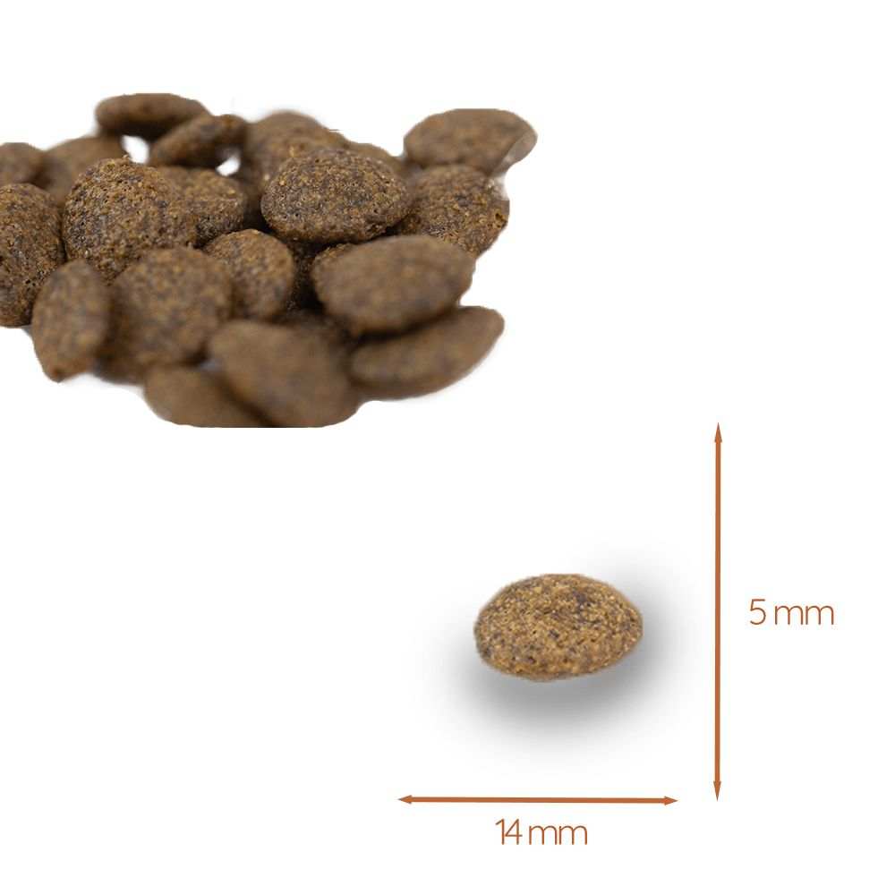Adult Trockenfutter mit Thunfisch - getreidefrei-Hundefutter-Wildfang-