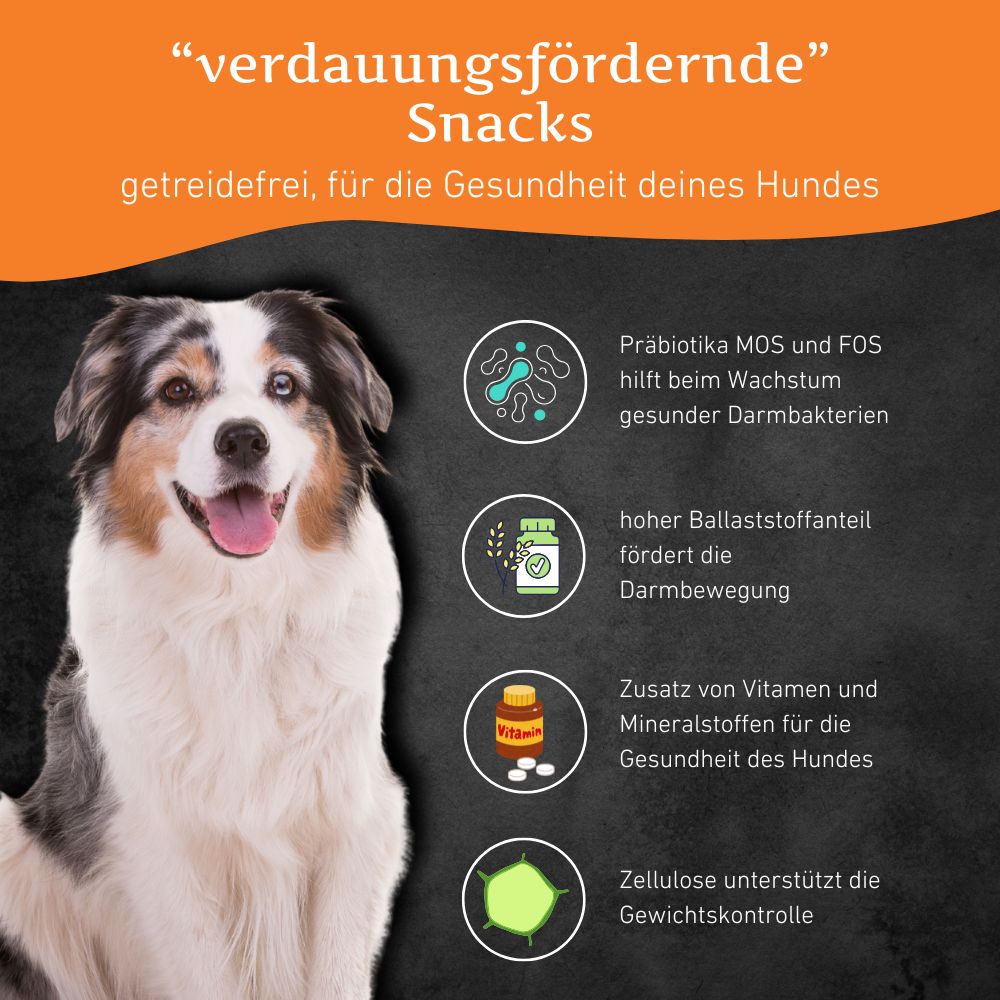 Verdauungsfördernde Snacks - getreidefrei - 3er Set-Hundefutter-Wildfang-