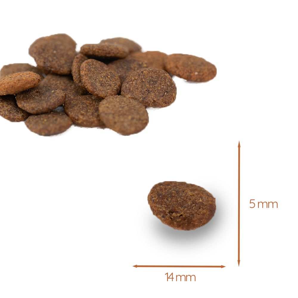 Adult Trockenfutter mit Wild - getreidefrei-Hundespielzeug-Wildfang-