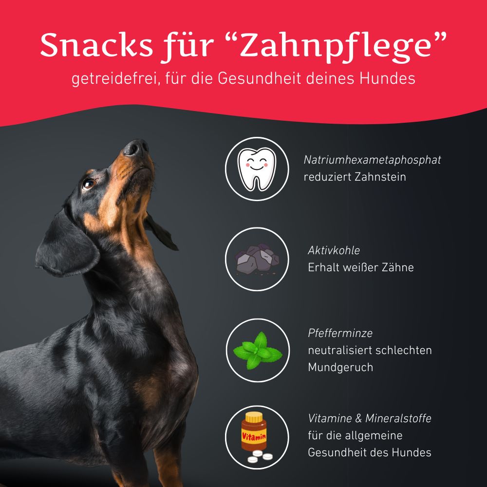 Zahnpflege Snacks - getreidefrei-Hundefutter-Wildfang-