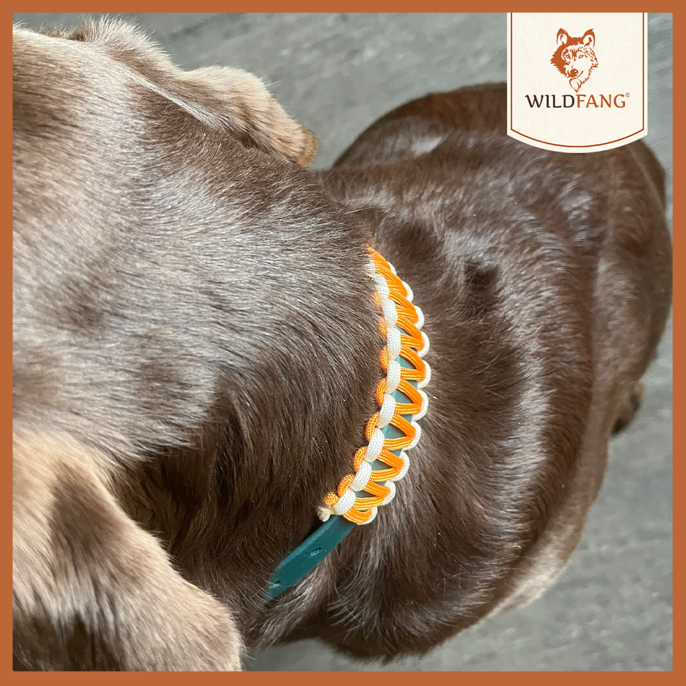 Hundehalsband "Waldgeflüster"-Hundespielzeug-Wildfang-