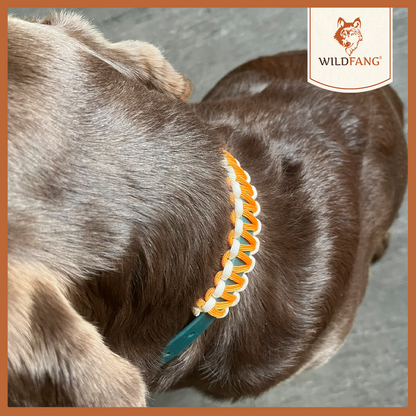 Hundehalsband "Waldgeflüster"-Hundespielzeug-Wildfang-