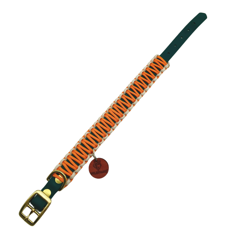 Hundehalsband "Waldgeflüster"-Hundespielzeug-Wildfang-