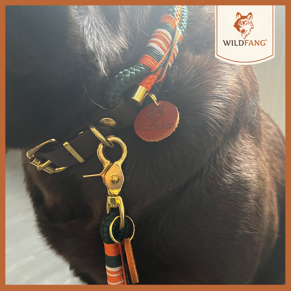 Hundehalsband "Wandergeflüster"-Hundespielzeug-Wildfang-