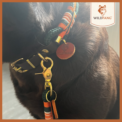 Hundehalsband "Wandergeflüster"-Hundespielzeug-Wildfang-