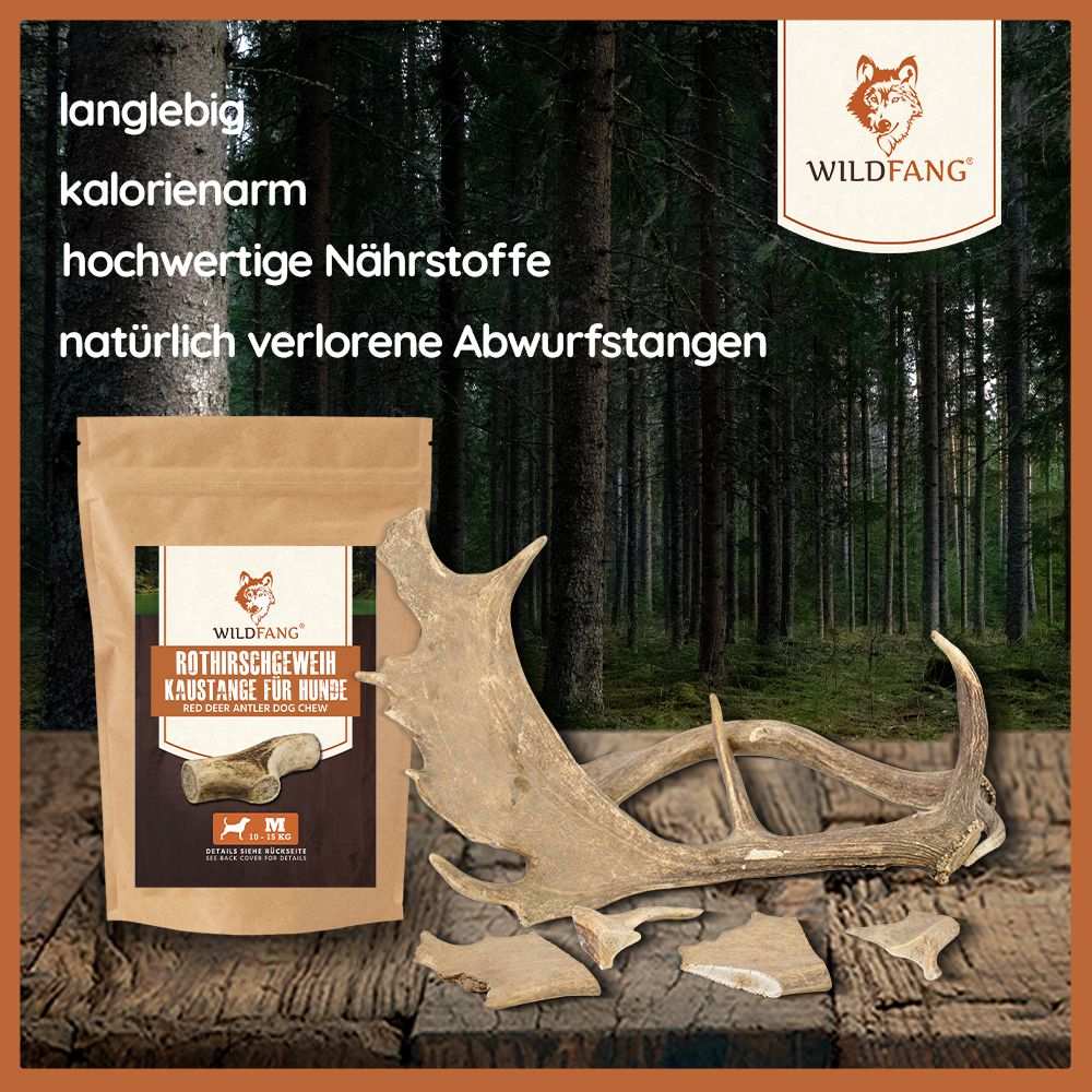 Kaugeweih Damhirsch - 3er Set-Hundebedarf-Wildfang-
