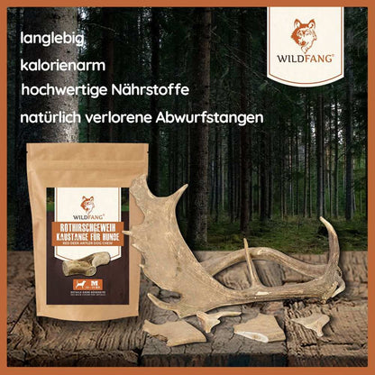 Kaugeweih Damhirsch - 3er Set-Hundebedarf-Wildfang-