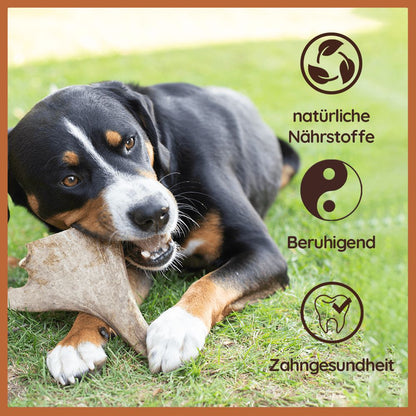 Kaugeweih Damhirsch - 3er Set-Hundebedarf-Wildfang-