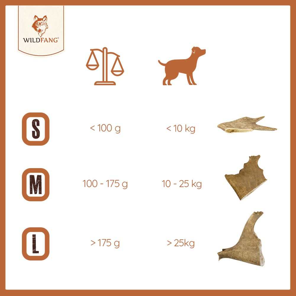 Kaugeweih Damhirsch - 3er Set-Hundebedarf-Wildfang-