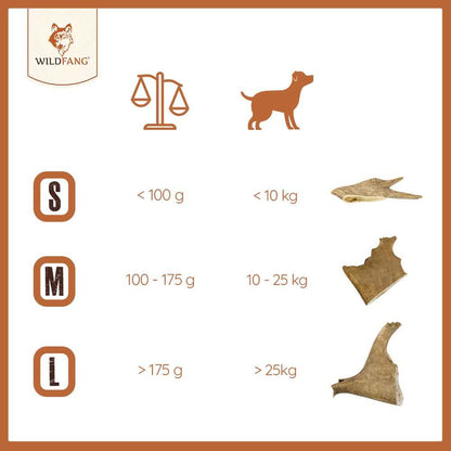 Kaugeweih Damhirsch - 3er Set-Hundebedarf-Wildfang-