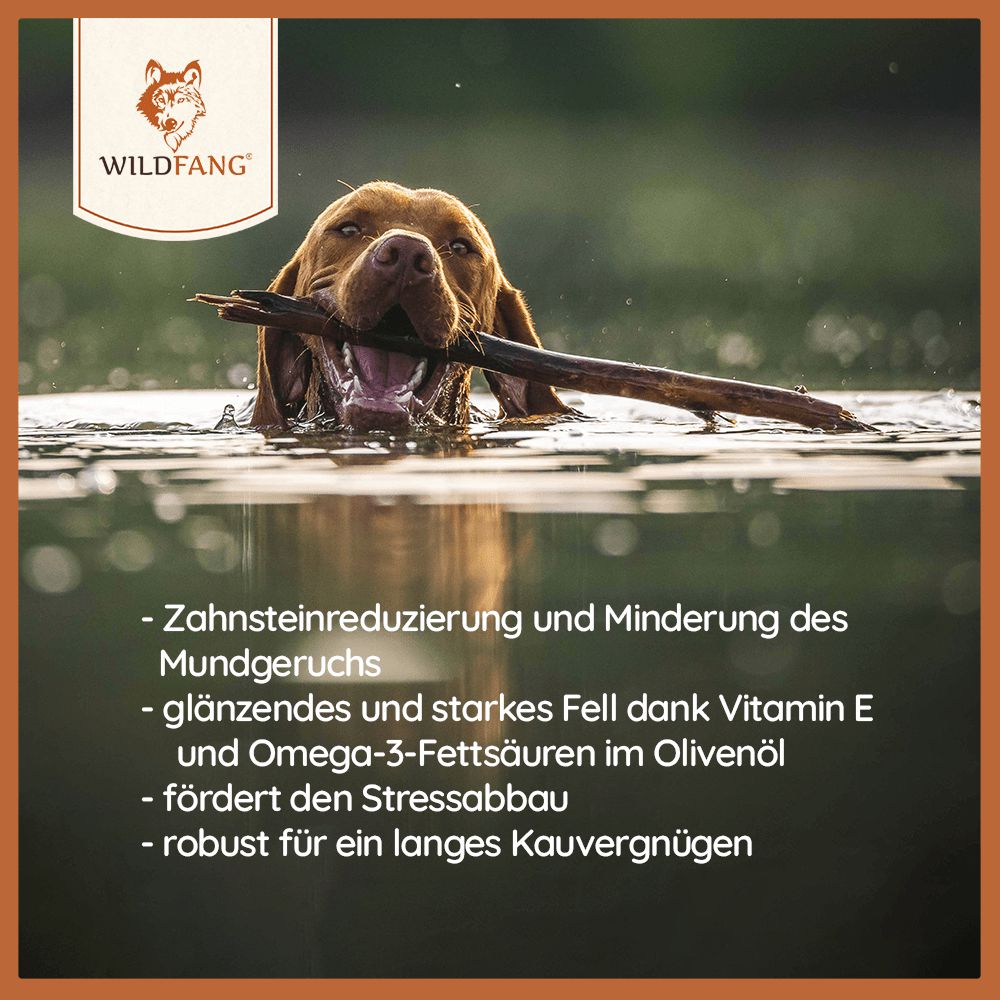 Olivenholz Kaustab - 3er Set-Hundespielzeug-Wildfang-